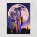 Recherche de soleil lune cartes postales Cactus