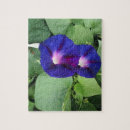 Recherche de denteux de fleur puzzles Pour tous