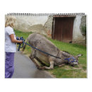 Suche nach esel andere kalender Bauernhof