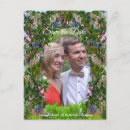 Recherche de de colibri cartes postales Pour eux