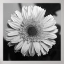 Suche nach quadratisches format poster Blume