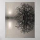 Suche nach eichen poster Landschaft