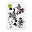 Recherche de de chiwawa magnets Chien