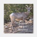 Suche nach rippen magnete Urlaub