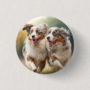 Recherche de australian shepherd accessoires Aussie
