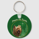 Recherche de terrier de yorkshire Chien yorkie