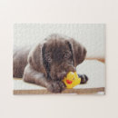 Suche nach labrador retriever welpe puzzle Schokoladenlabrador