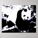 Suche nach chinesische tiere poster Panda