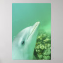 Suche nach nasen poster Nahaufnahme