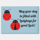 Recherche de de coccinelle magnets Coccinelles