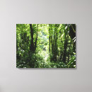 Suche nach tropischer regenwald leinwandbilder Natur