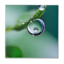 Suche nach makro fliesen Grün