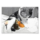 Suche nach coole katze poster Haustier