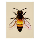 Recherche de pollinisateur art De l'abeille à miel