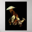 Suche nach magischer pilz poster Pilze