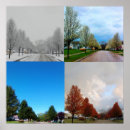 Recherche de quatre arbres posters Saisons