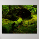 Suche nach beautiful nature poster Green
