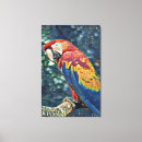 Recherche de écarlate art Oiseaux