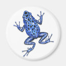 Suche nach regenwald magnete Frosch