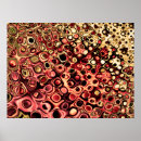 Recherche de cellules posters Cercles