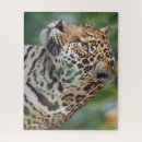 Recherche de jaguar puzzles Sauvage