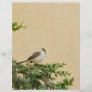 Recherche de sable prospectus Amusant