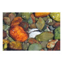 Recherche de plage de coquillages posters Sous l'eau