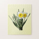Suche nach narzissen puzzle Natur
