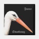 Recherche de cigogne magnets Animal