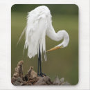 Suche nach störche mousepads Natur
