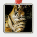 Recherche de zoo ornements Faune