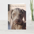 Suche nach weimaraner hund karten Niedlich