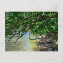 Recherche de moorea cartes postales Polynésie