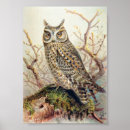 Recherche de hibou posters Rétro