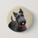 Recherche de chien de terrier badges Scottie