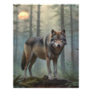 Recherche de photo de loup posters Animaux