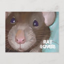 Recherche de rat cartes postales Animal