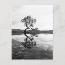 Suche nach wanaka postkarten Neuseeland