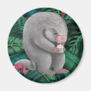 Recherche de épineux magnets Mignon