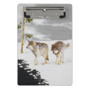 Recherche de loup porte blocs Neige