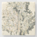 Suche nach korallenriff untersetzer Meer