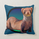 Recherche de de furet coussins Furets