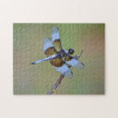 Suche nach dragonfly puzzle Fehler