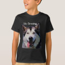 Recherche de malamute Animaux