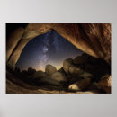 Suche nach mojave desert poster Cactus
