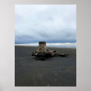 Suche nach driftwood poster Küste