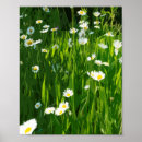 Suche nach blumenwiese poster Frühling