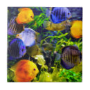 Suche nach aquarium fliesen Schwimmen