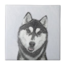 Suche nach sibirischer husky fliesen Hund