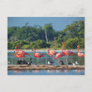 Recherche de le mexique photographie Péninsule du yucatan